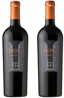 2 Flaschen Primitivo di Manduria DOC ICONA di Senza Parole Preisvergleich